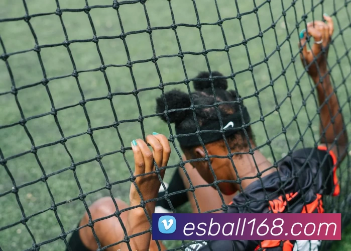 App Interface Preview